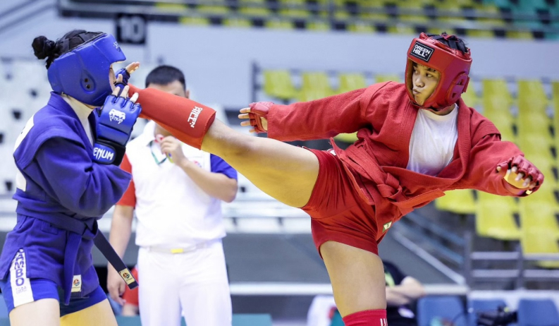 Sambo Combate